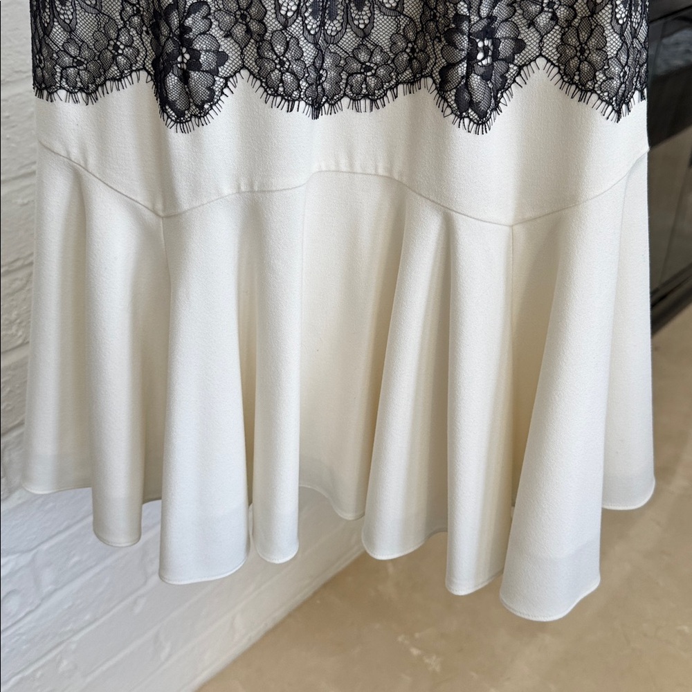 BCBGMaxAzria Ivory Dress with Black Lace Overlay - Picture 4 of 9